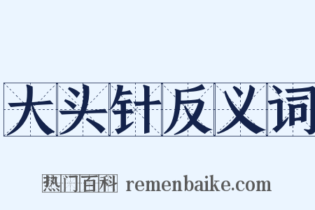 大头针反义词是什么意思的图片